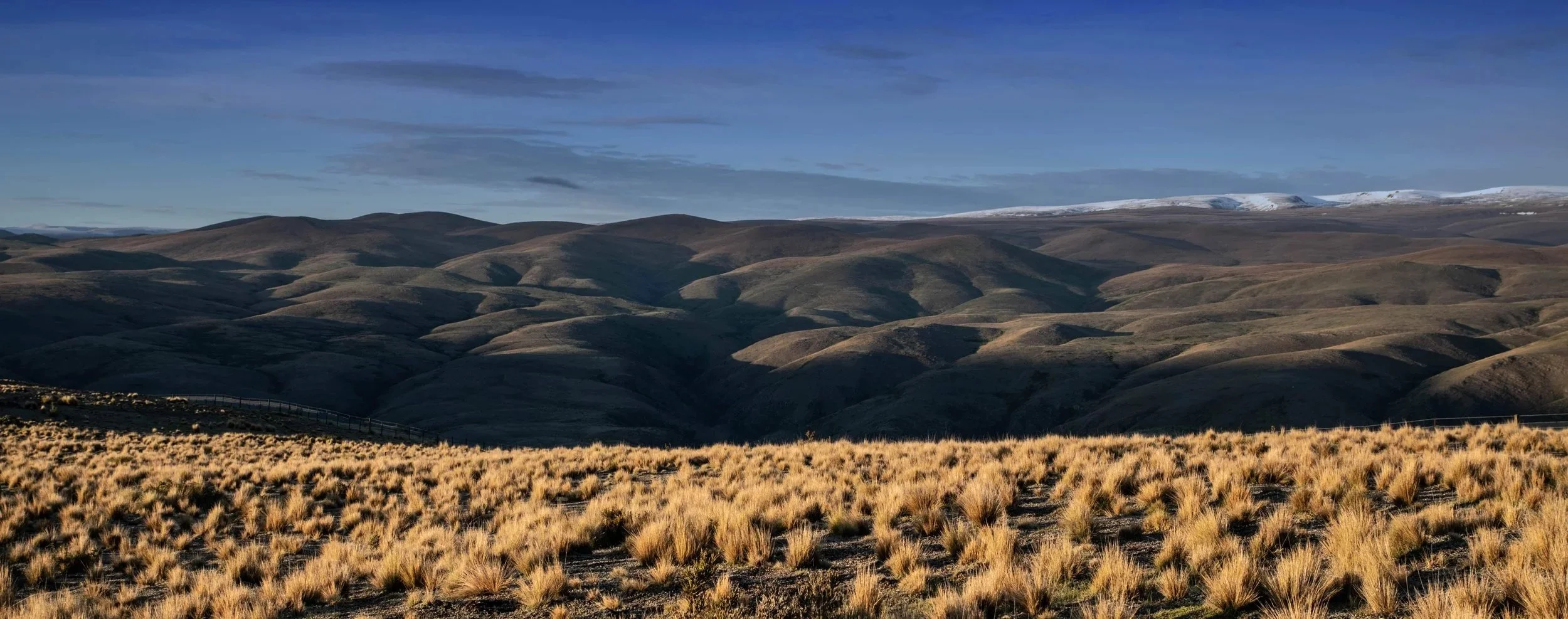 Hills and Tussock 