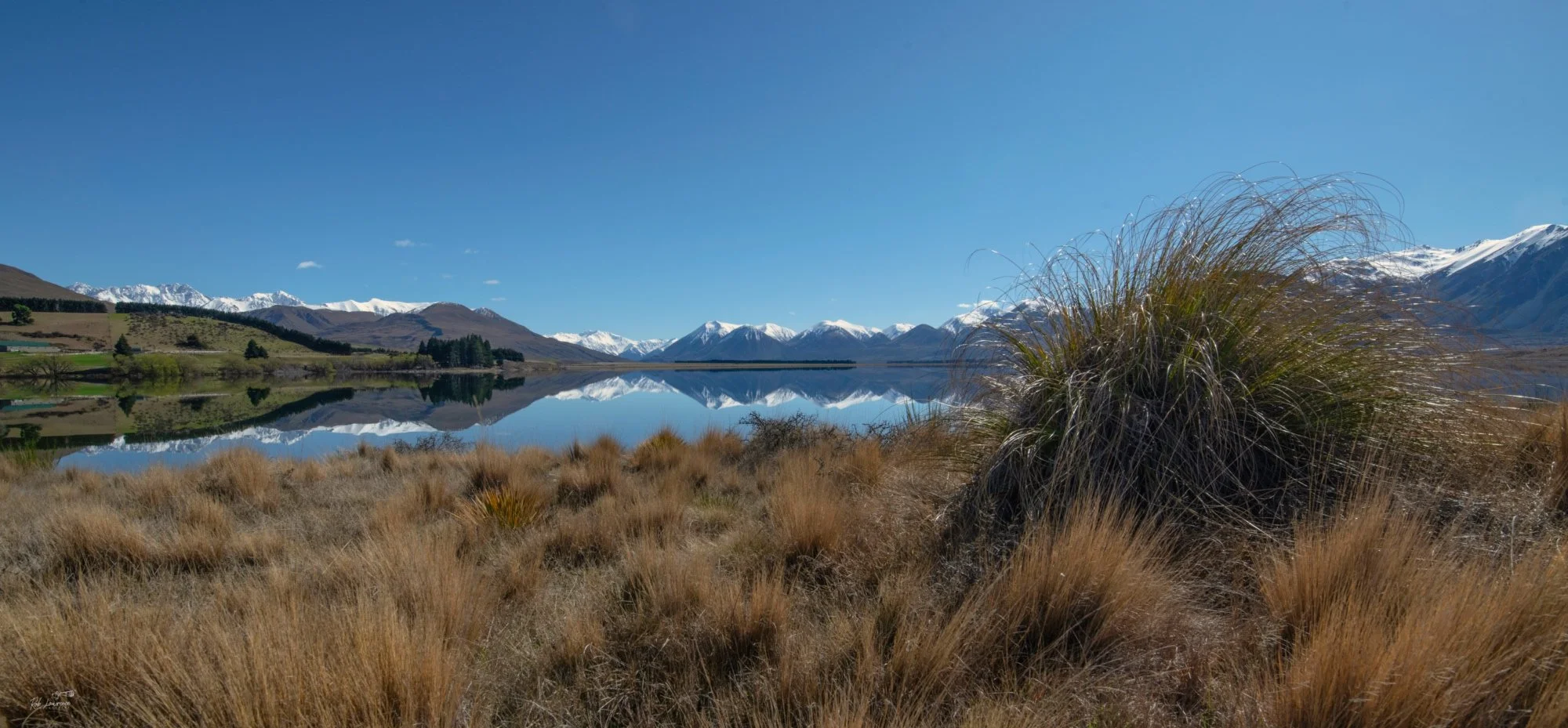 Tussock and Lake Heron Mid Canterbury 