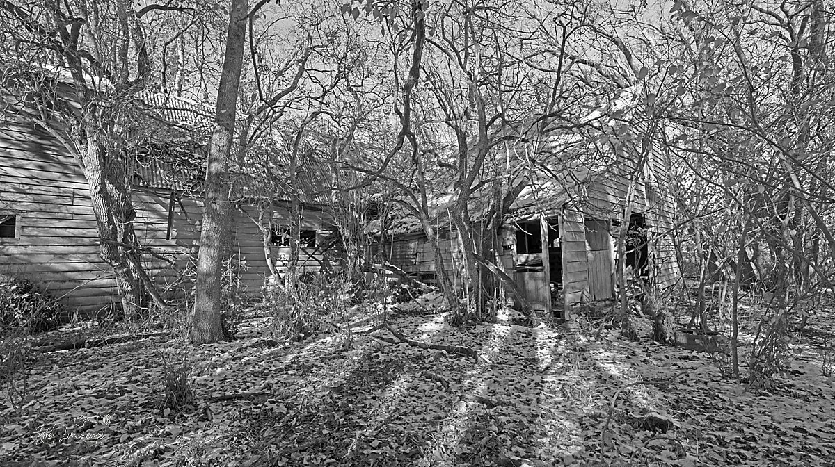 2Archron Woolshed.jpg