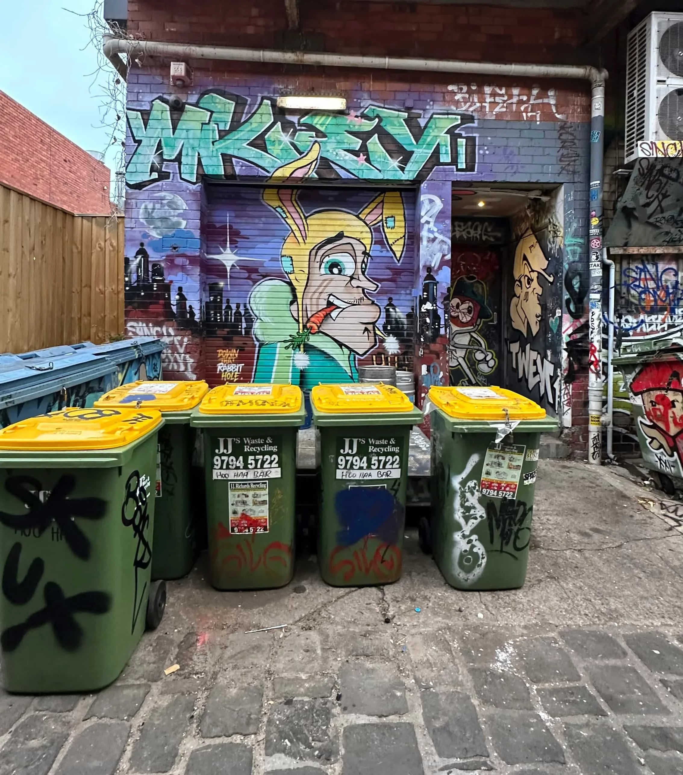 bin guard.jpg