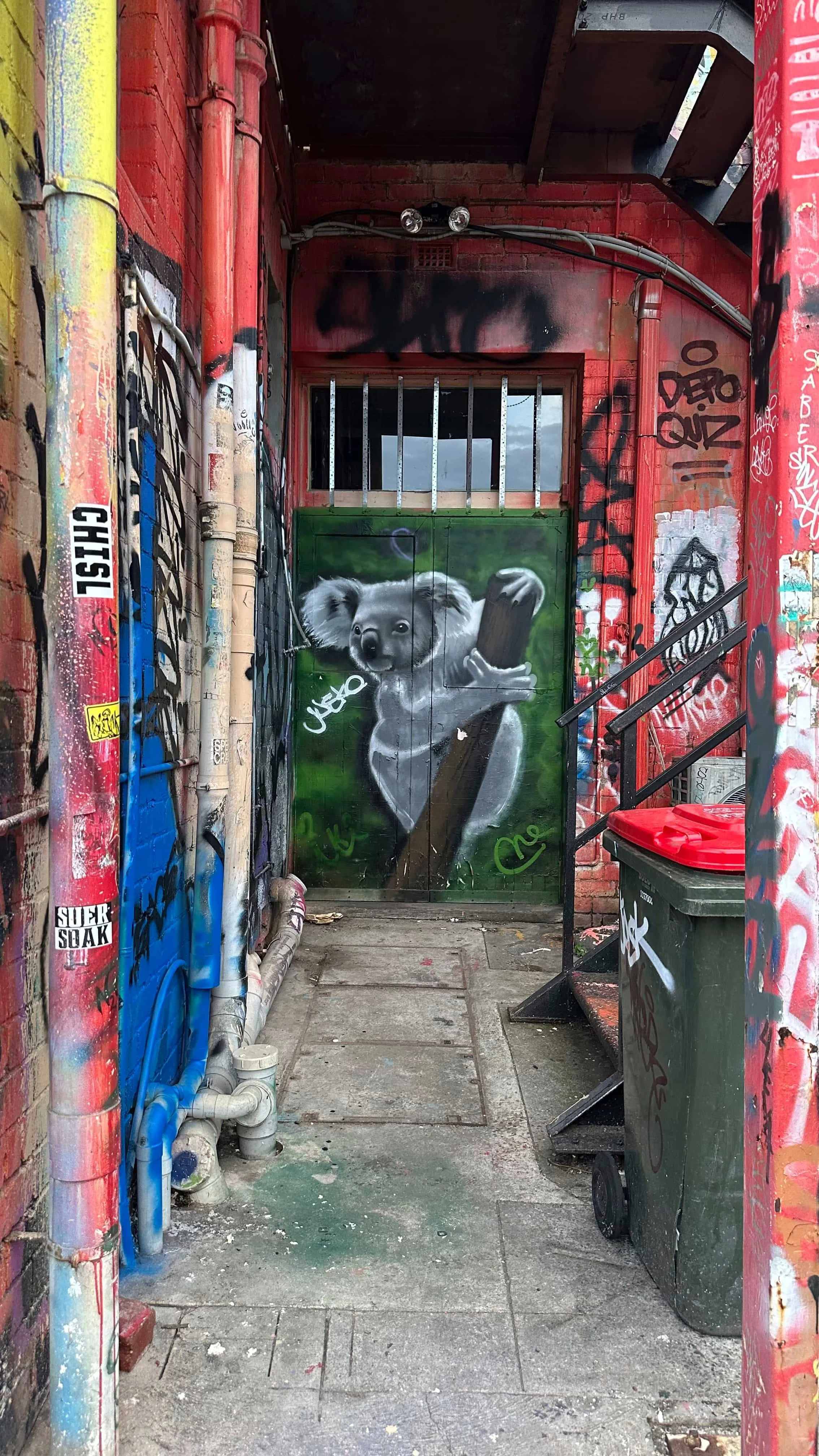 Koala.jpg