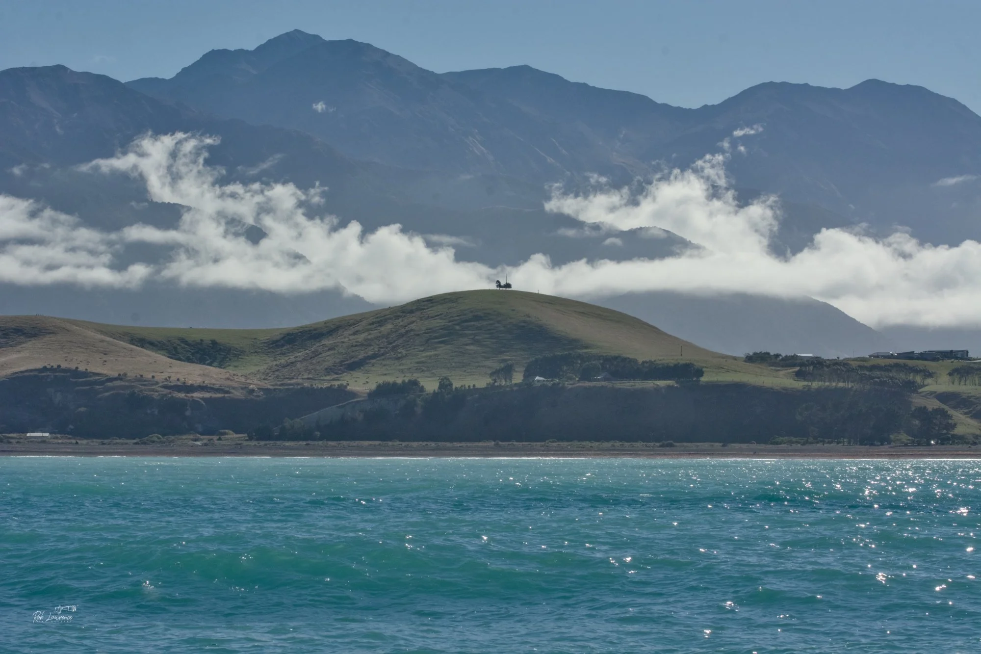 A one tree hill off South Bay 
