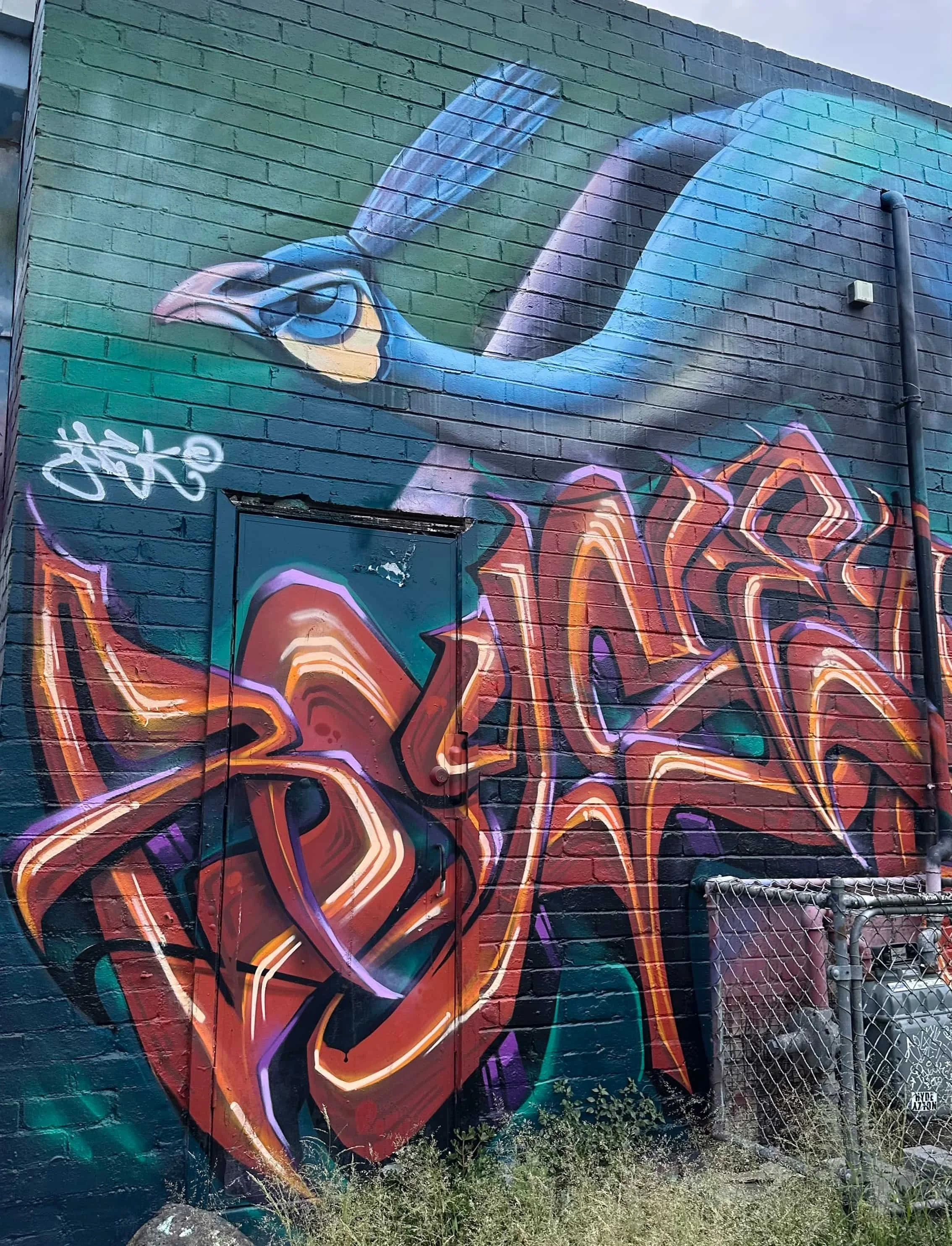 Peacock.jpg