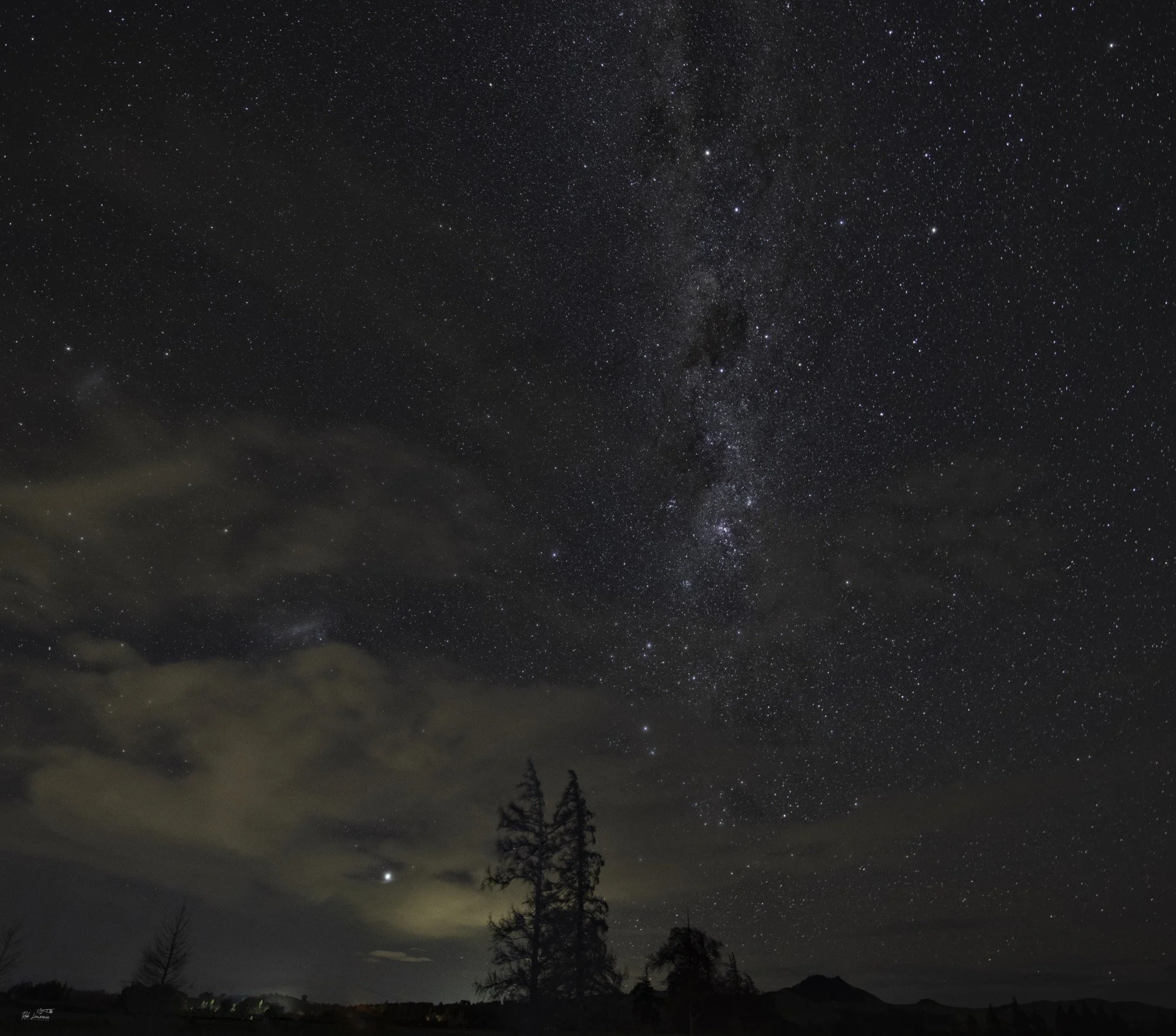 Night Tree. Near Springfield 