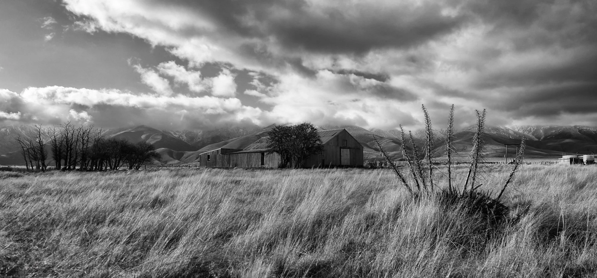 Braeside Station, Ida Valley, Central Otago
Historic station buildings photographed prior to the filming of The Power of the Dog (2021), which brought international attention to this remarkable Central Otago landscape.
