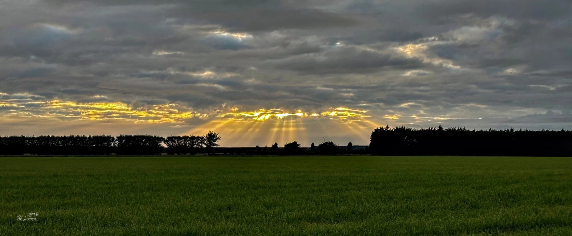 Sun Rays from North Side of the McHughs Forest Park