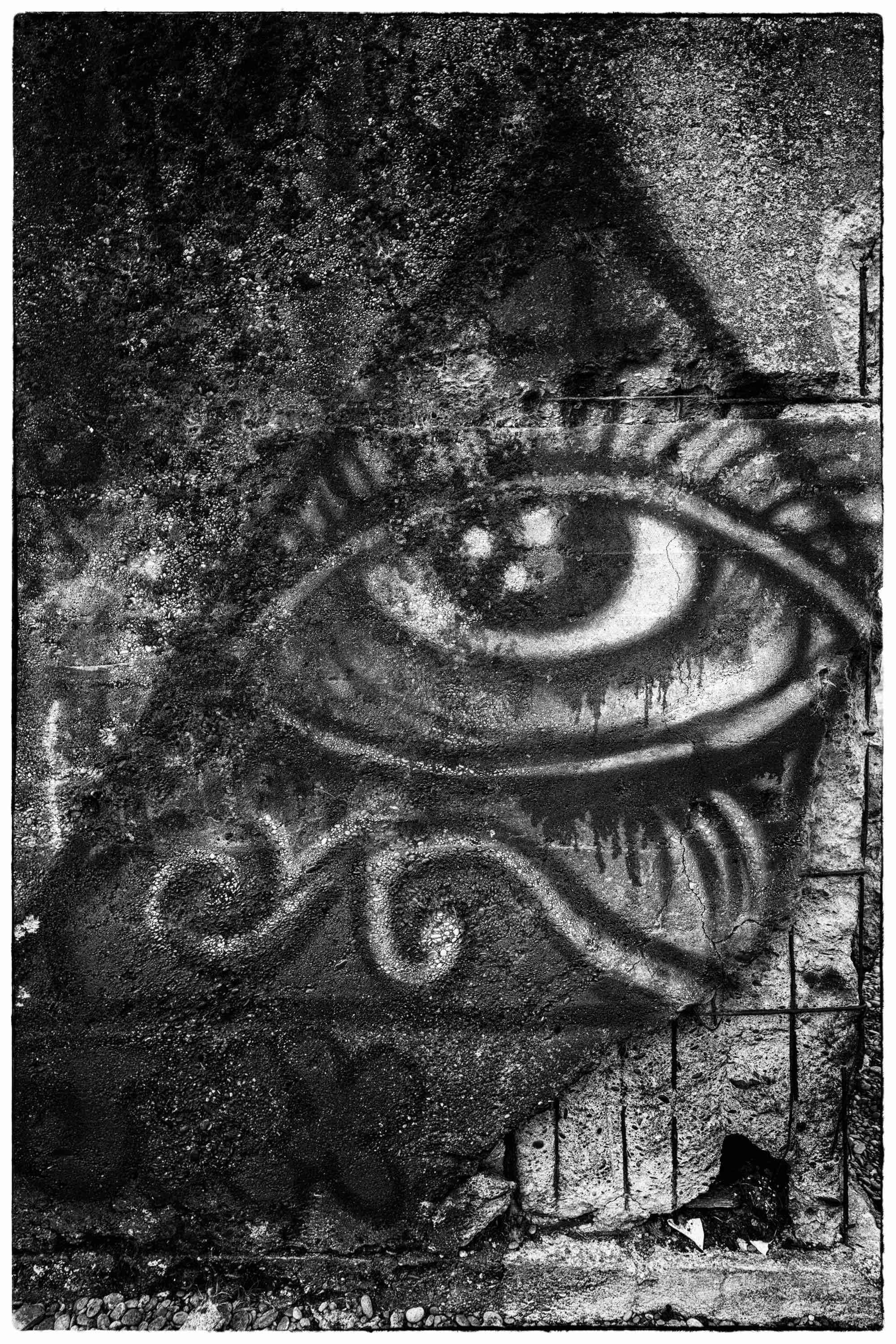 the eye .jpg