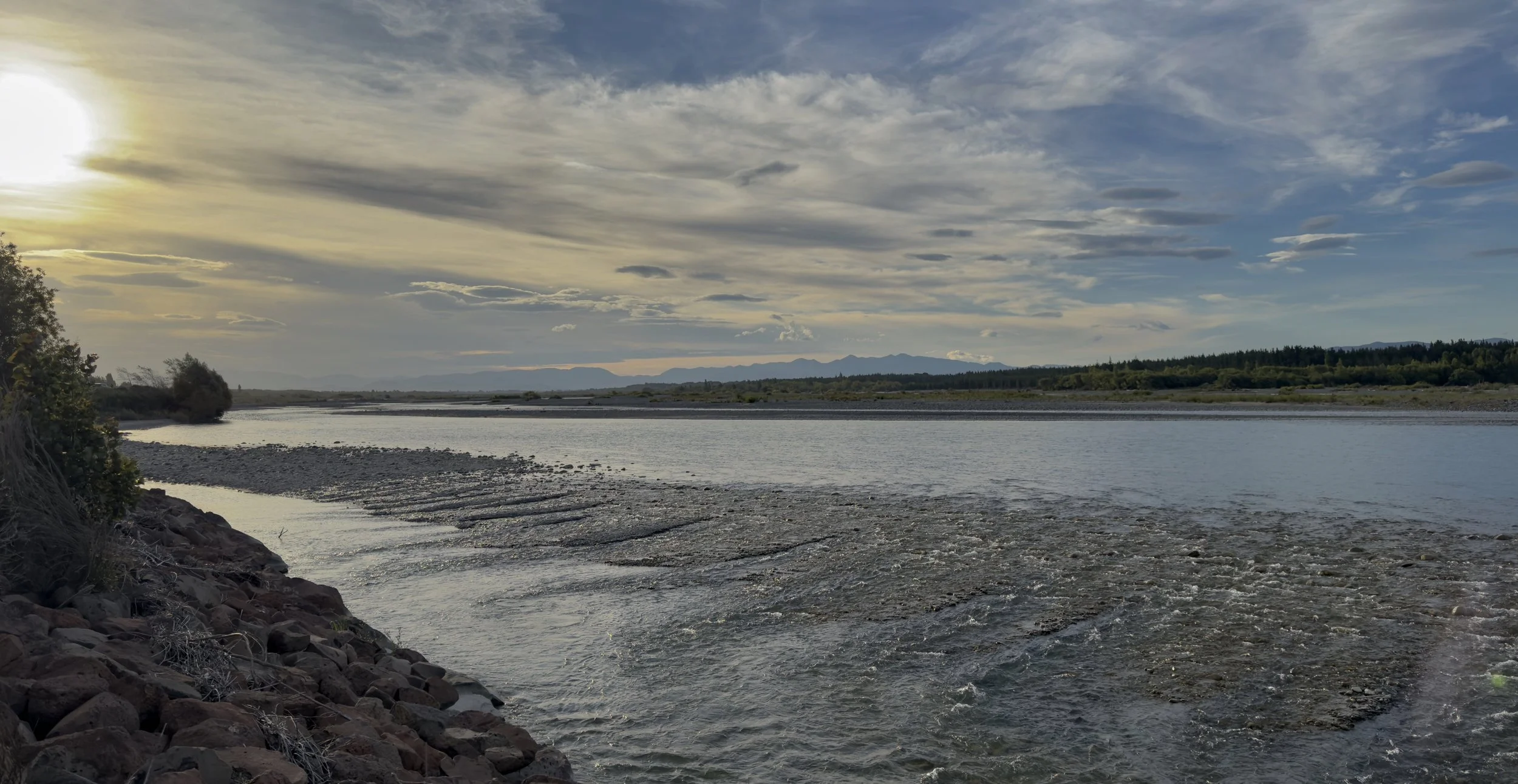 The Willows  (Waimakariri River) 
