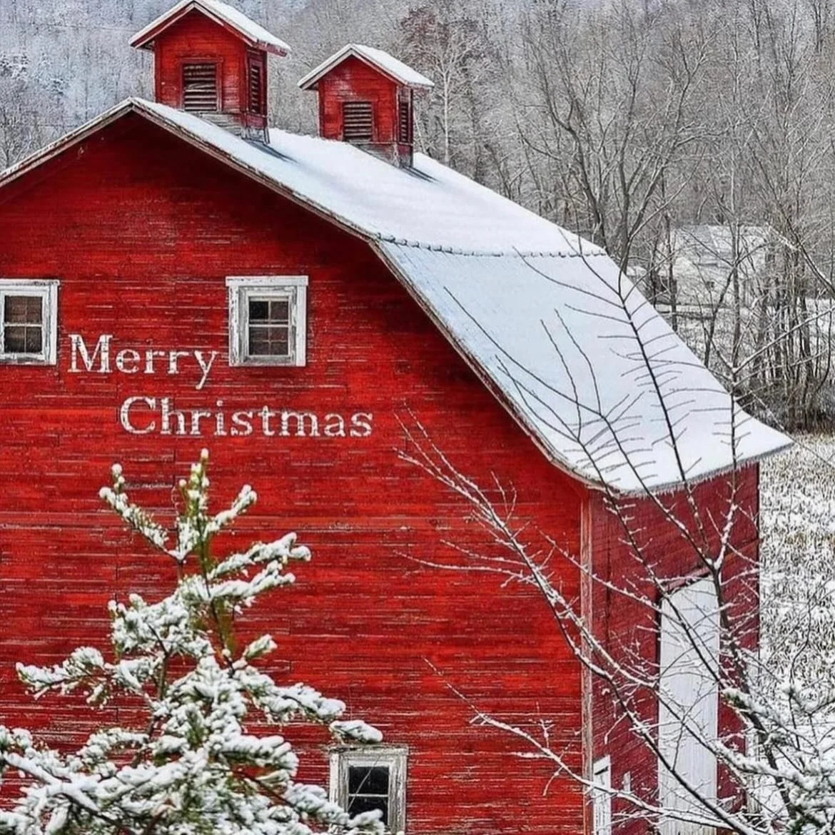 MERRIEST CHRISTMAS precious souls &hellip; we are just over here this early morning marinating in some of our families knee bending answered prayers &hellip;. 
What a gift you each are here with me in the daily &hellip; your support .. your love and 