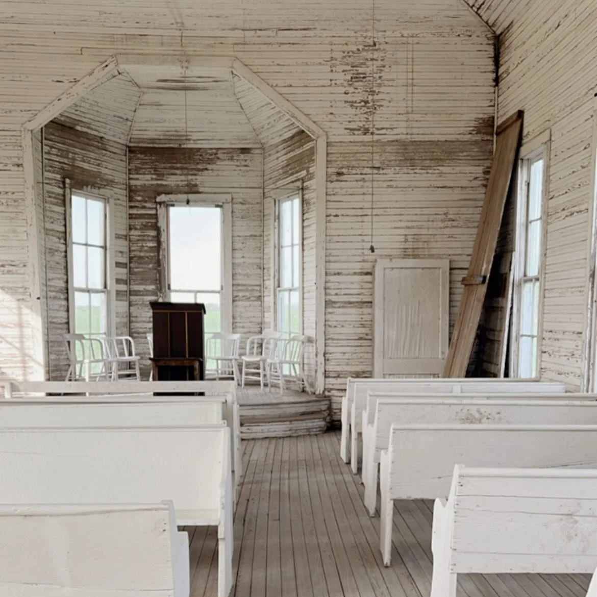 It&rsquo;s our Sunday&hellip;.. these very beyond beauties &hellip; this year &hellip; we are spending some time and will be giving some deeper hallelujahs to the very souls out here who are tending to such keeping ...
.... Intention and purpose are 