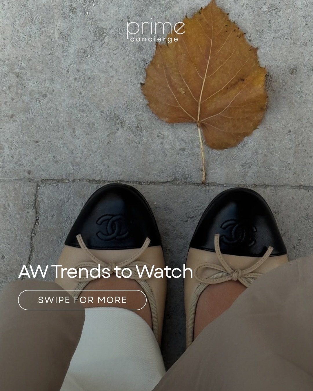 AW trends to watch. Some old flames, some fresh faces. Which one&rsquo;s calling your name? 🍂☕️
Credit | @anna.wein @lovisabarkman @janicejoostemaa @dzaslavsky @lisagermaneau @clairerose @tamara @gabriellecaunesil @j.solitaira @carla_ginola 

✉️ Cha