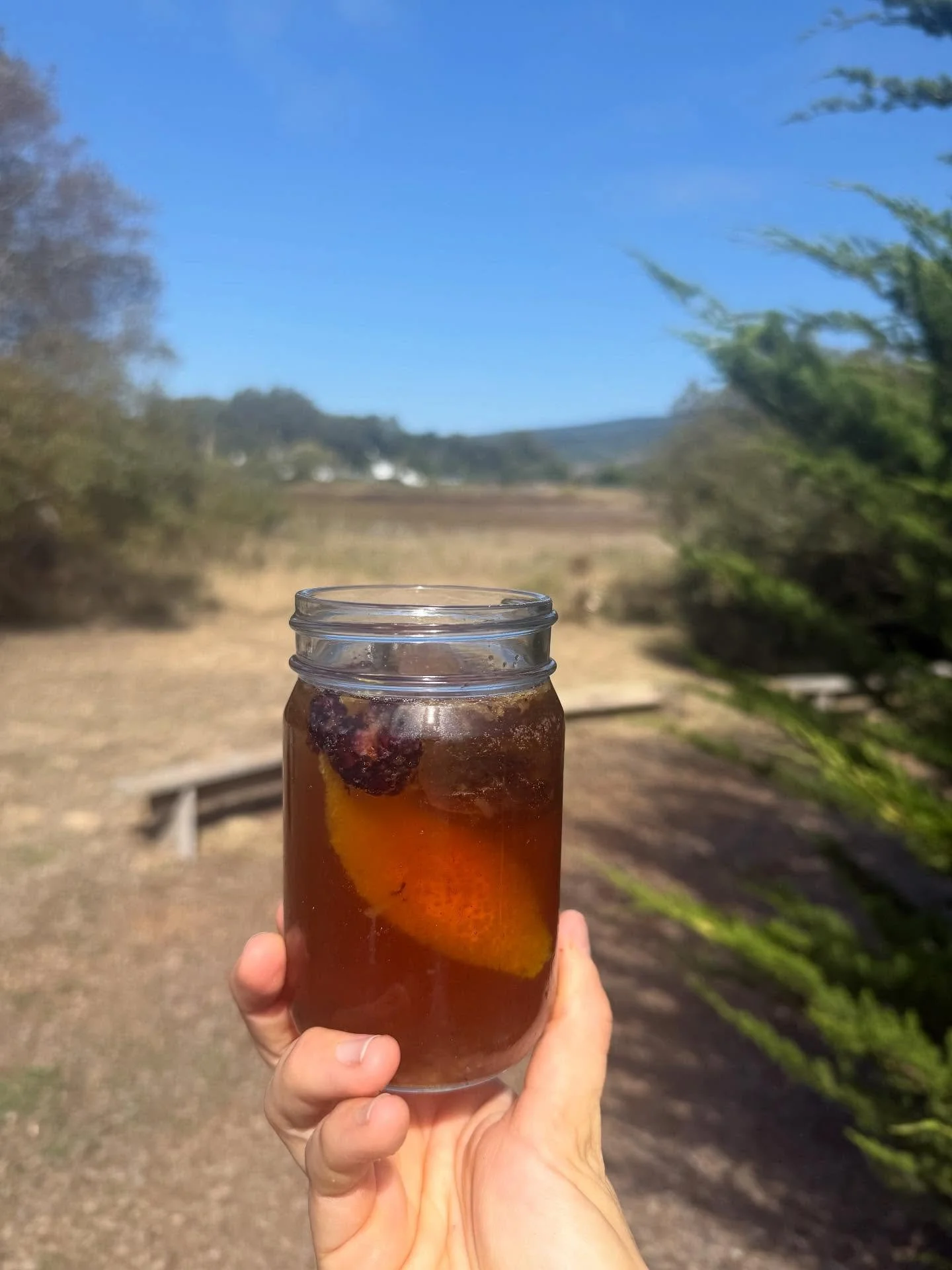 My brilliant friends @shannygraymouse &amp; @waubi_saubi have created an event tonight @bolinasmuseum about communion with the ocean. I will be serving a @_leavesandflowers tea spritz that came to me in a dream. My favorite thing is using the medium 