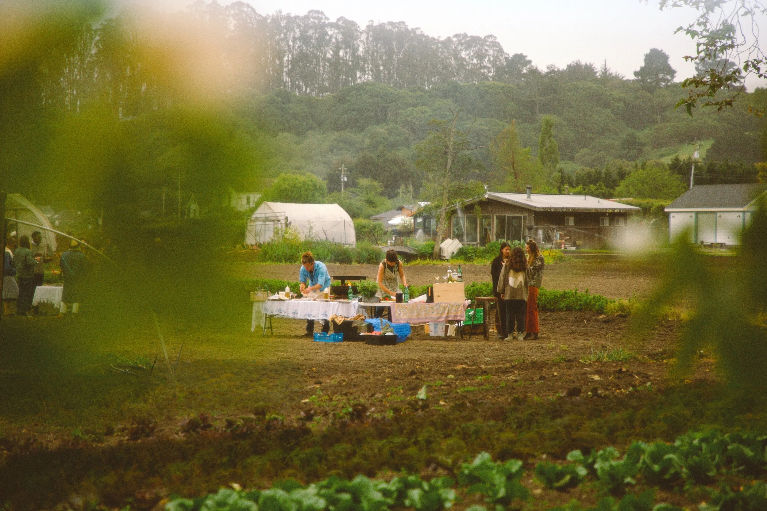  EVENTS  
  SEASONAL GATHERINGS ROOTED IN COMMUNITY, GOOD FOOD, AND EARTH-HONORING TRADITIONS  