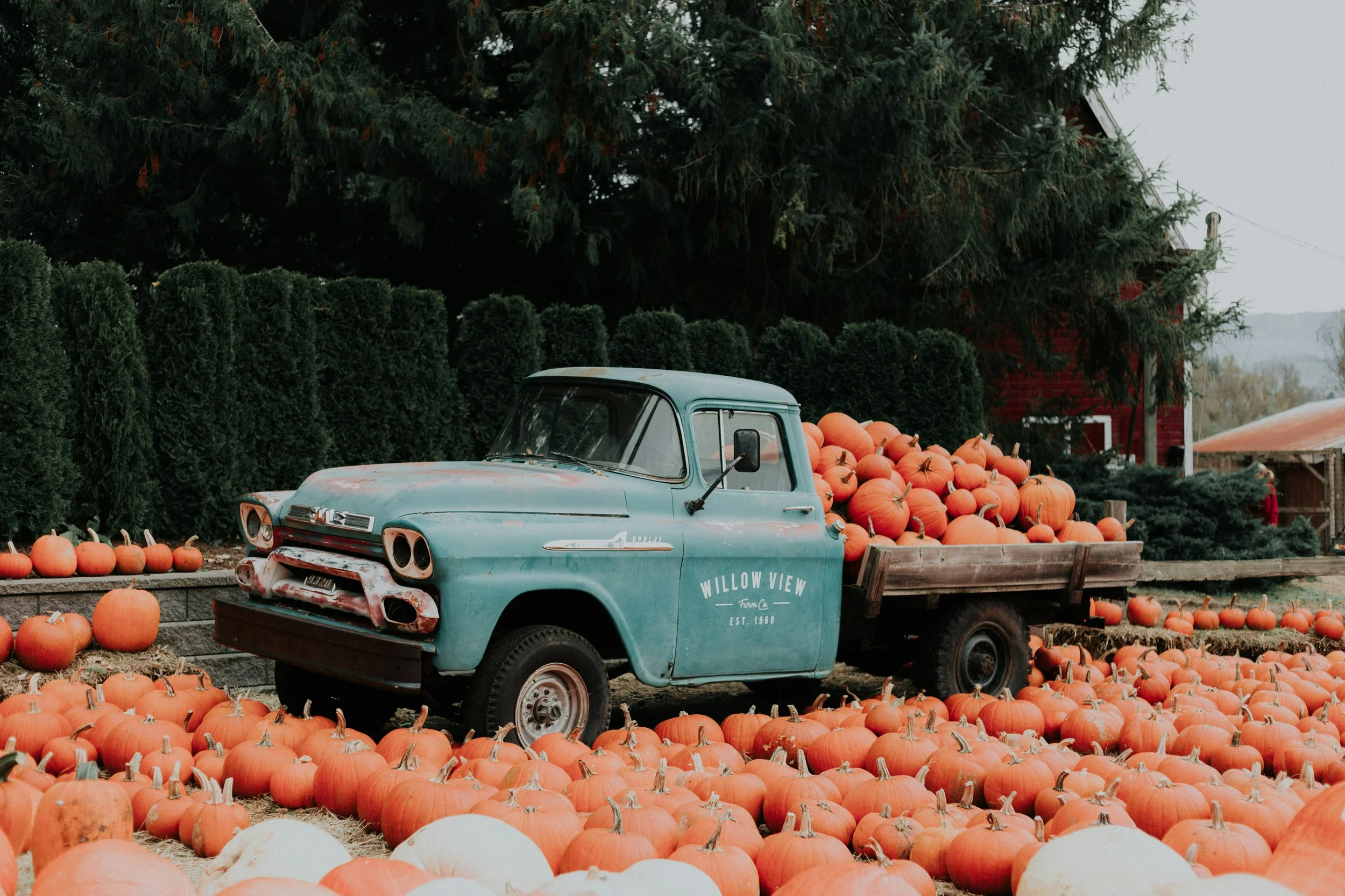 Pahrump Valley Fall Festival