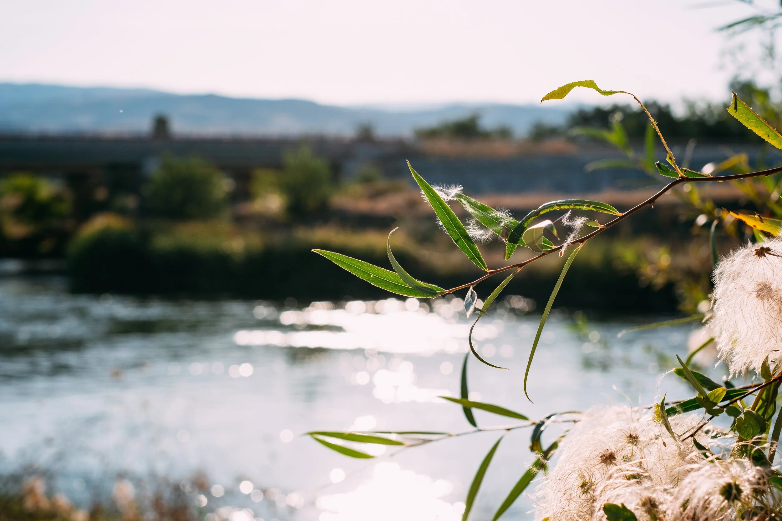 Brainspotting therapy session in CA, TX, & VA