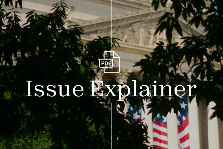 D.C. Takeover Issue Explainer