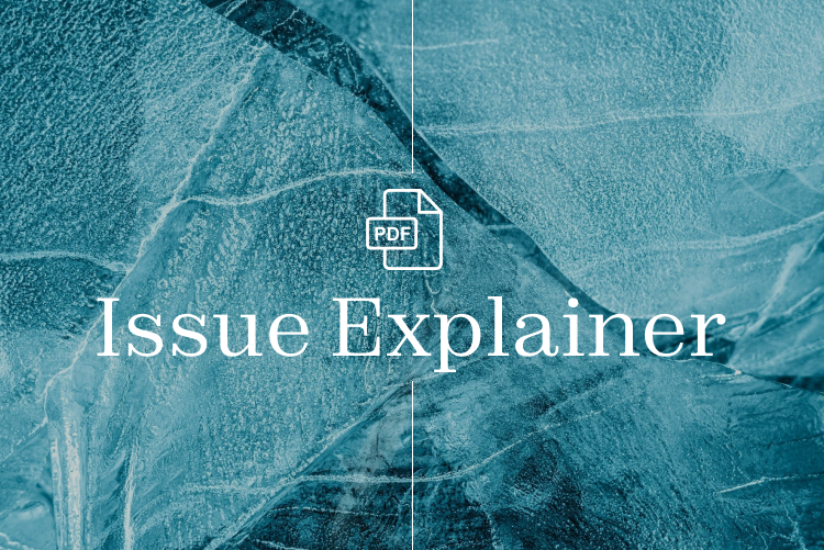 Mass Deportation Issue Explainer