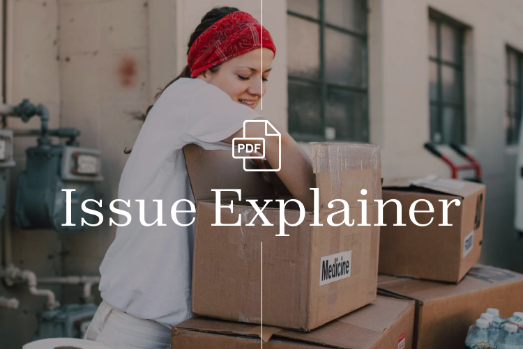 Cuts to Social Safety Net Issue Explainer