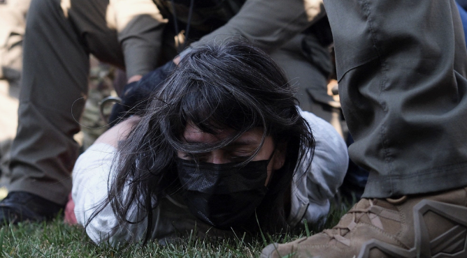 Hauled a U.S. citizen out of her car at gunpoint in Chicago