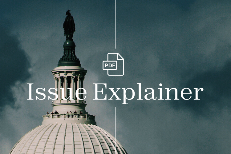 Congressional Overreach Issue Explainer