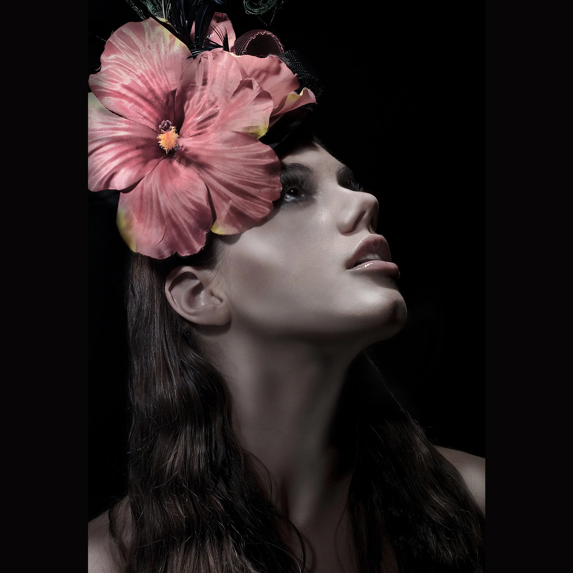 Jacqueline Ryan