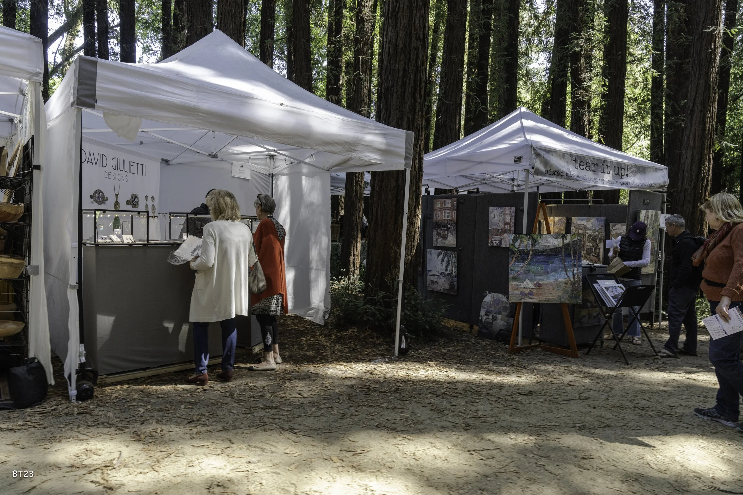 Copy of Barry_Toranto_MVFAF.Booths.2023-2316.jpg