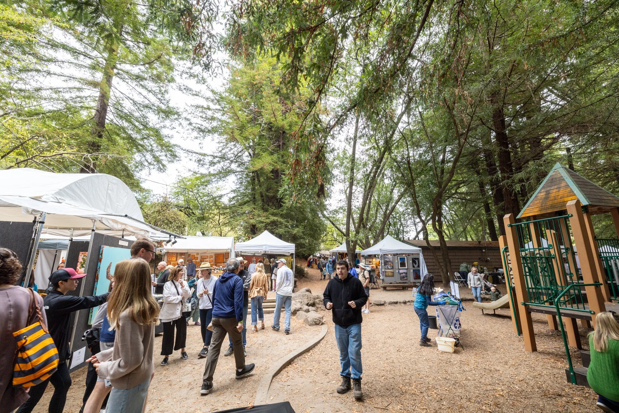 _CrowdMVFAF 2024.jpg