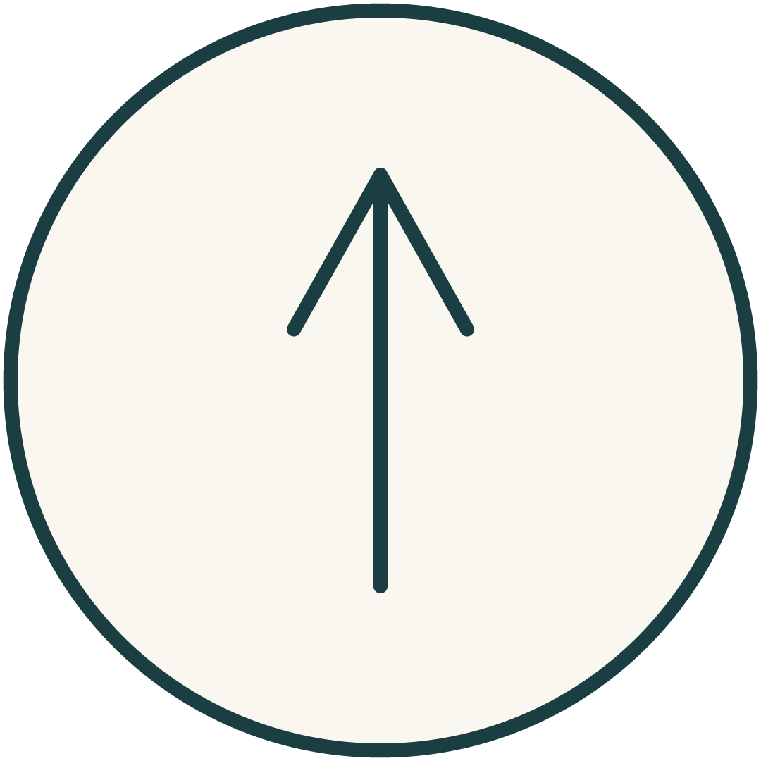 Scroll to Top