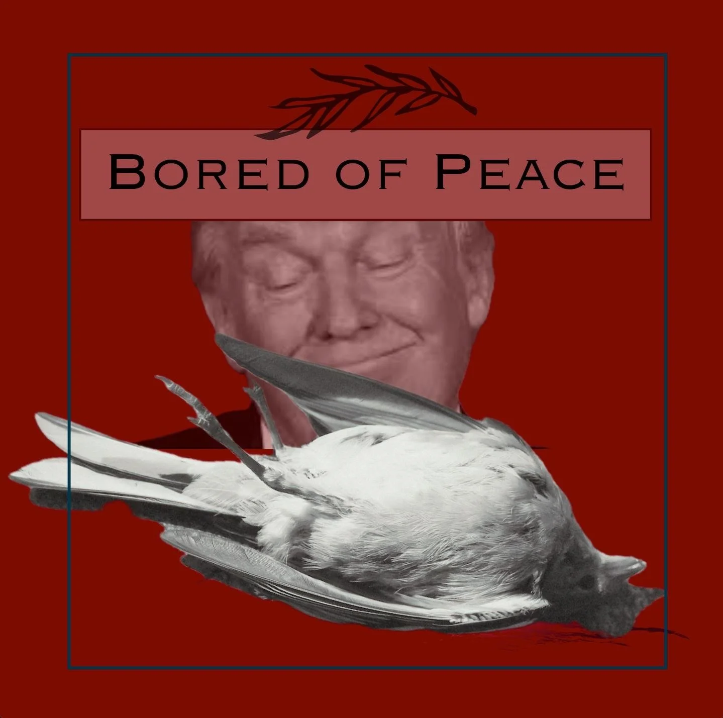 Weekly Member Update - March 2, 2026