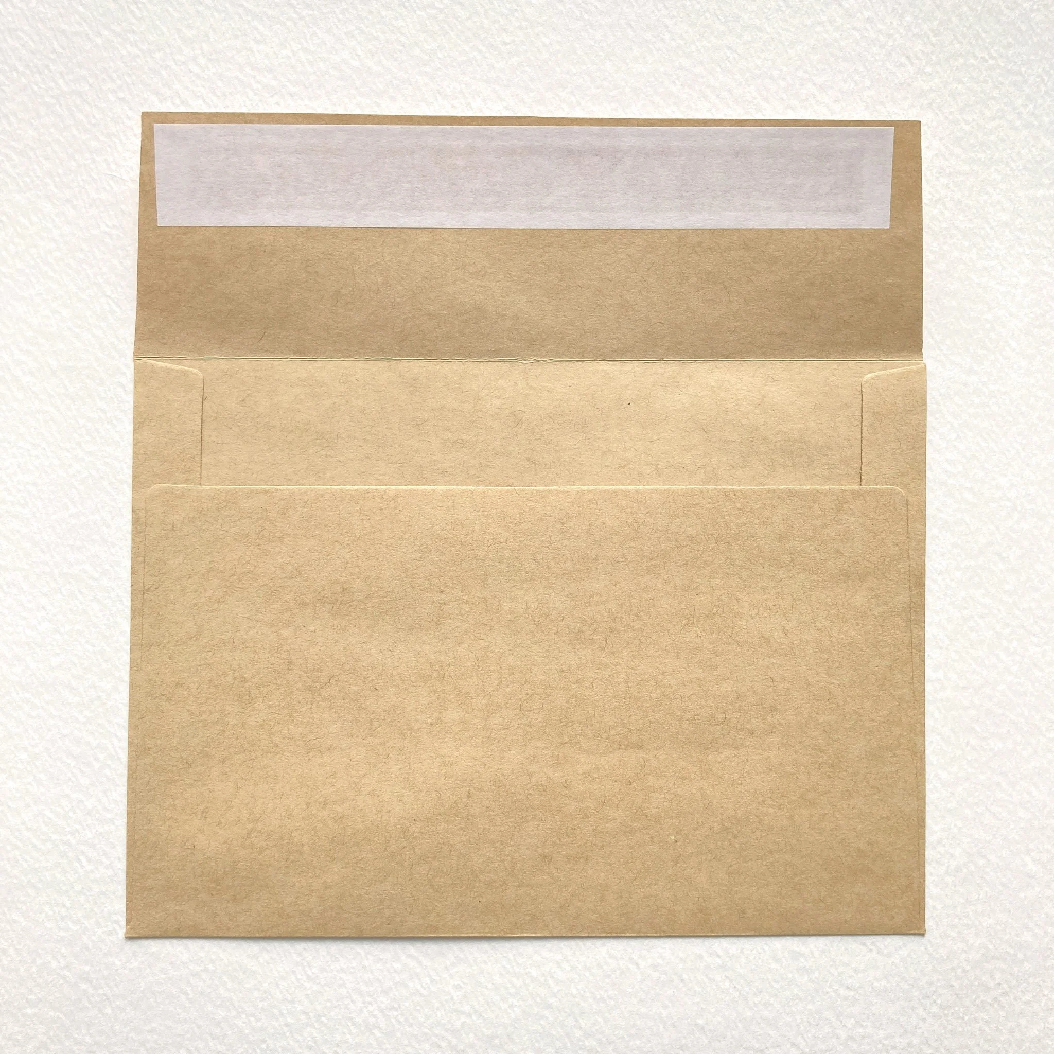 Caro-Bay-Art-Cartes-de-souhaits-Enveloppe-Kraft.jpg
