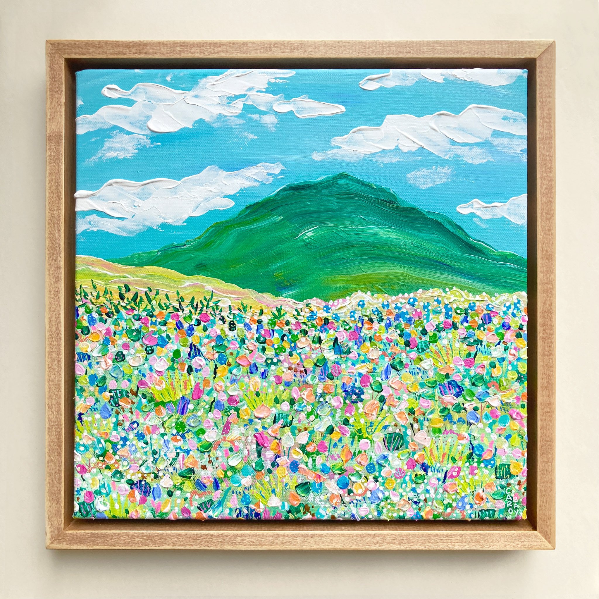 Mont Cornichon (série Monts Imaginaires) | 12"x12" | Encadrée