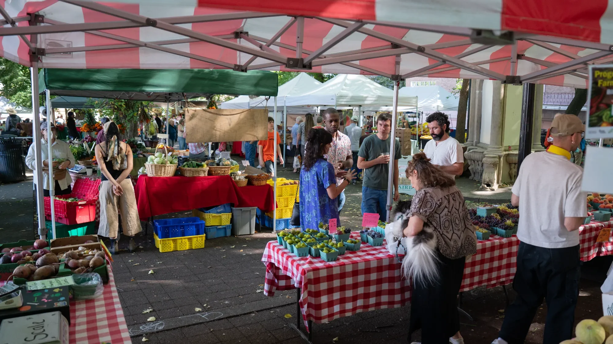 Windhorse Portland-094.webp