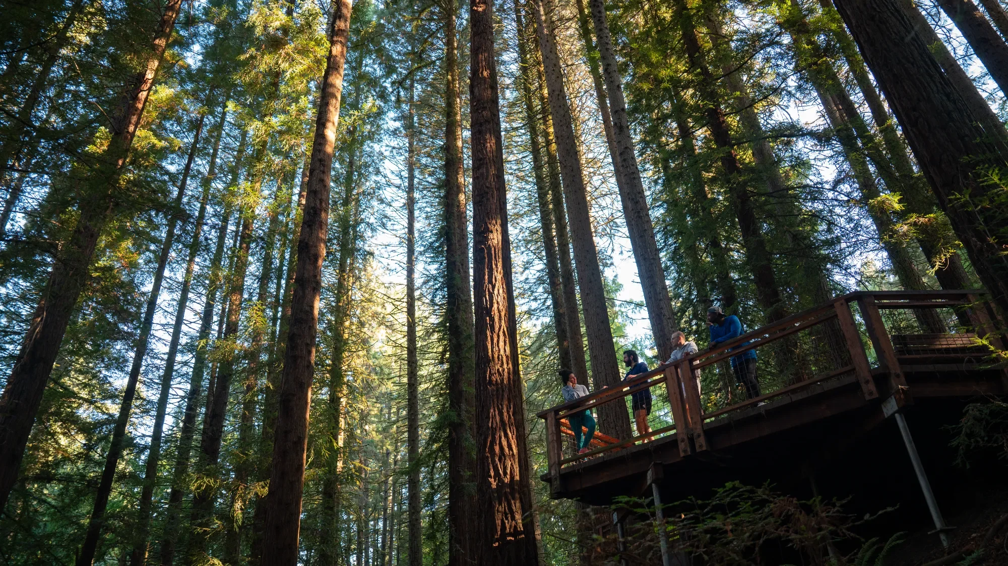 Windhorse Portland-008.webp