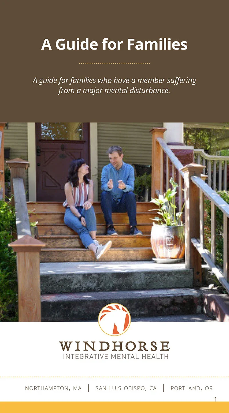 Brochure titled "A Guide for Families" featuring a photo of two people sitting and talking on the steps of a house porch, with a logo of a horse's head and the text "Windhorse Integrative Mental Health".