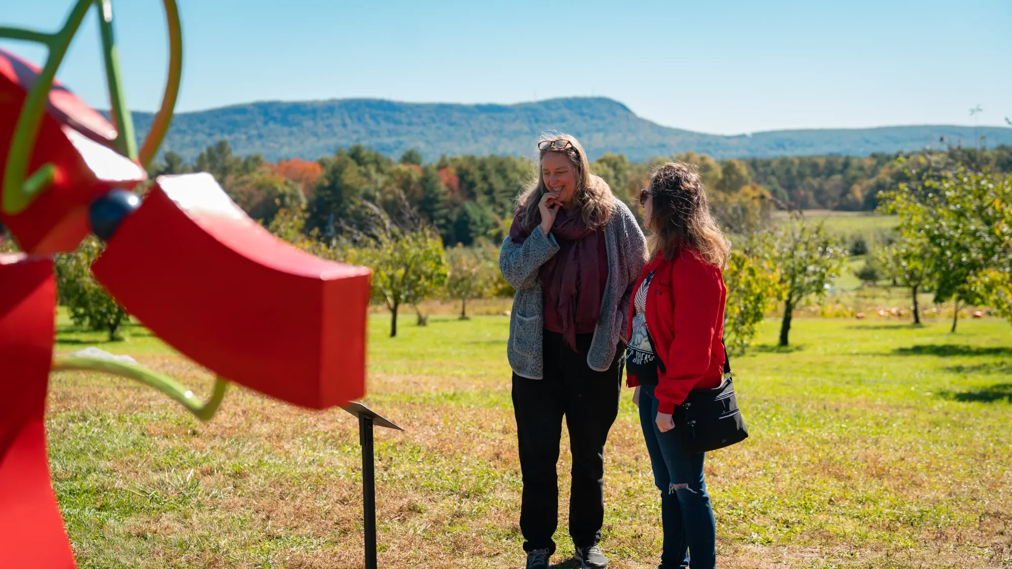 Windhorse Northampton-15.webp