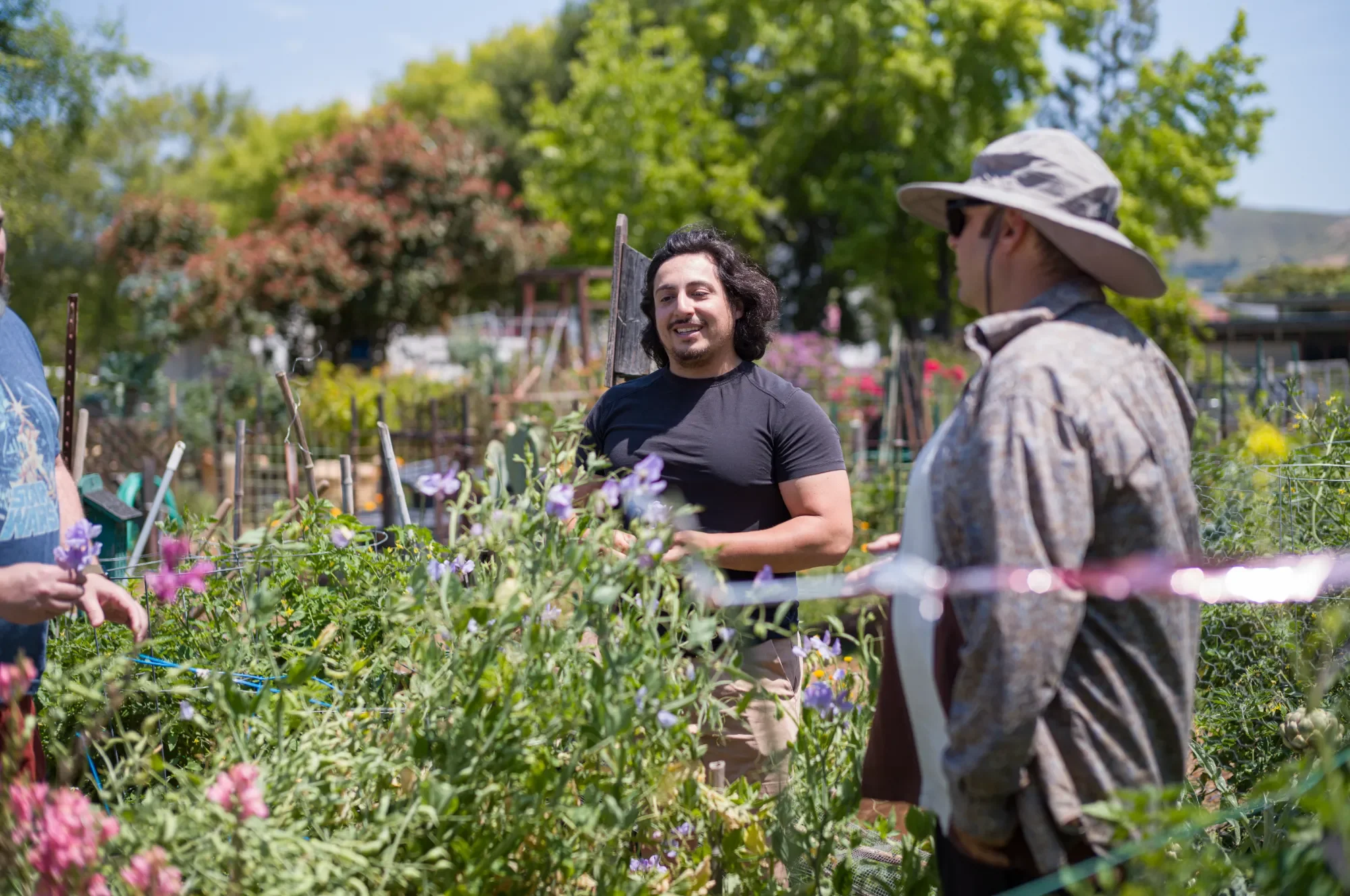 People talking in a garden with flowering plants and trees on a sunny day.