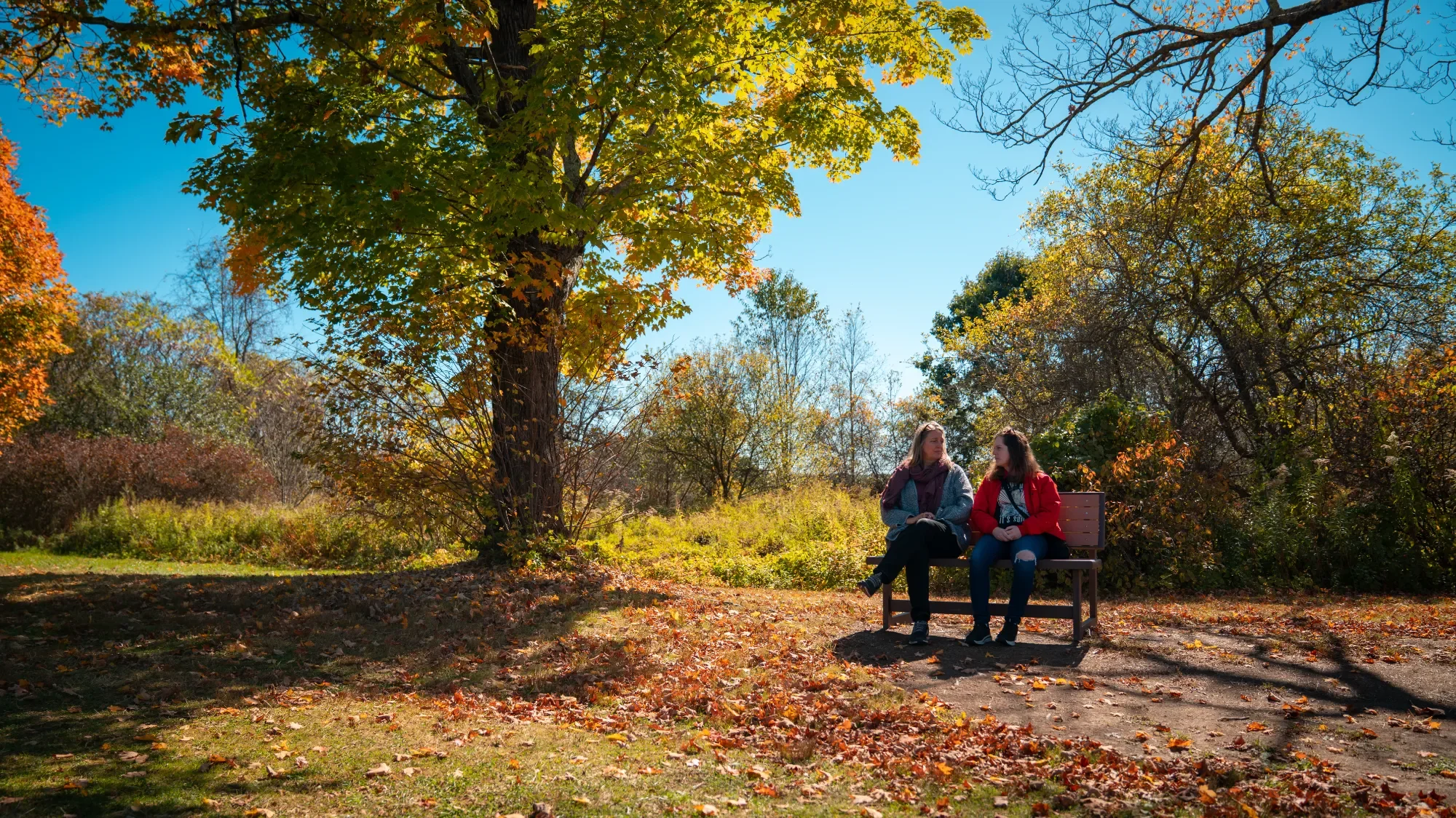 Windhorse Northampton-28.webp