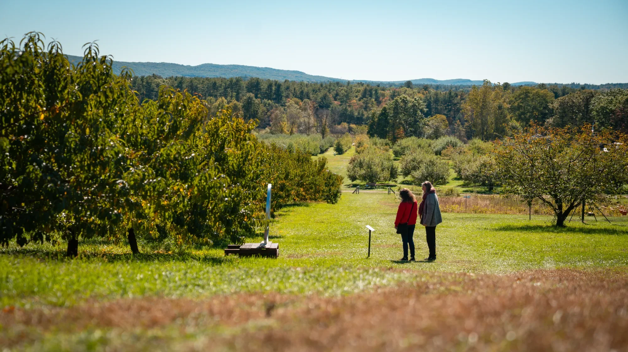 Windhorse Northampton-21.webp