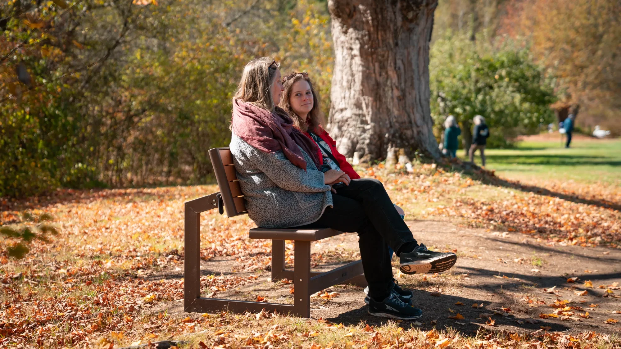 Windhorse Northampton-27.webp