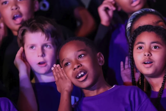 Youth Voice Festival