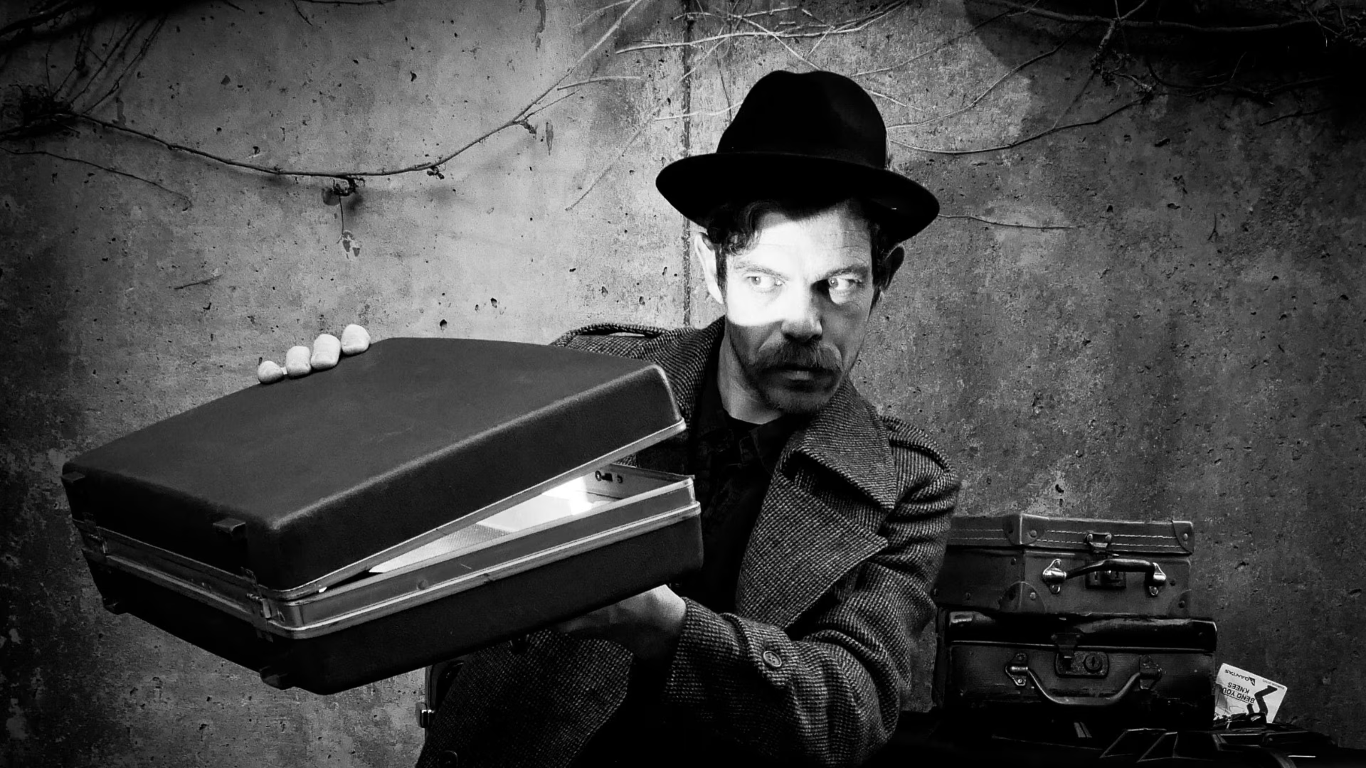 Suitcase Show