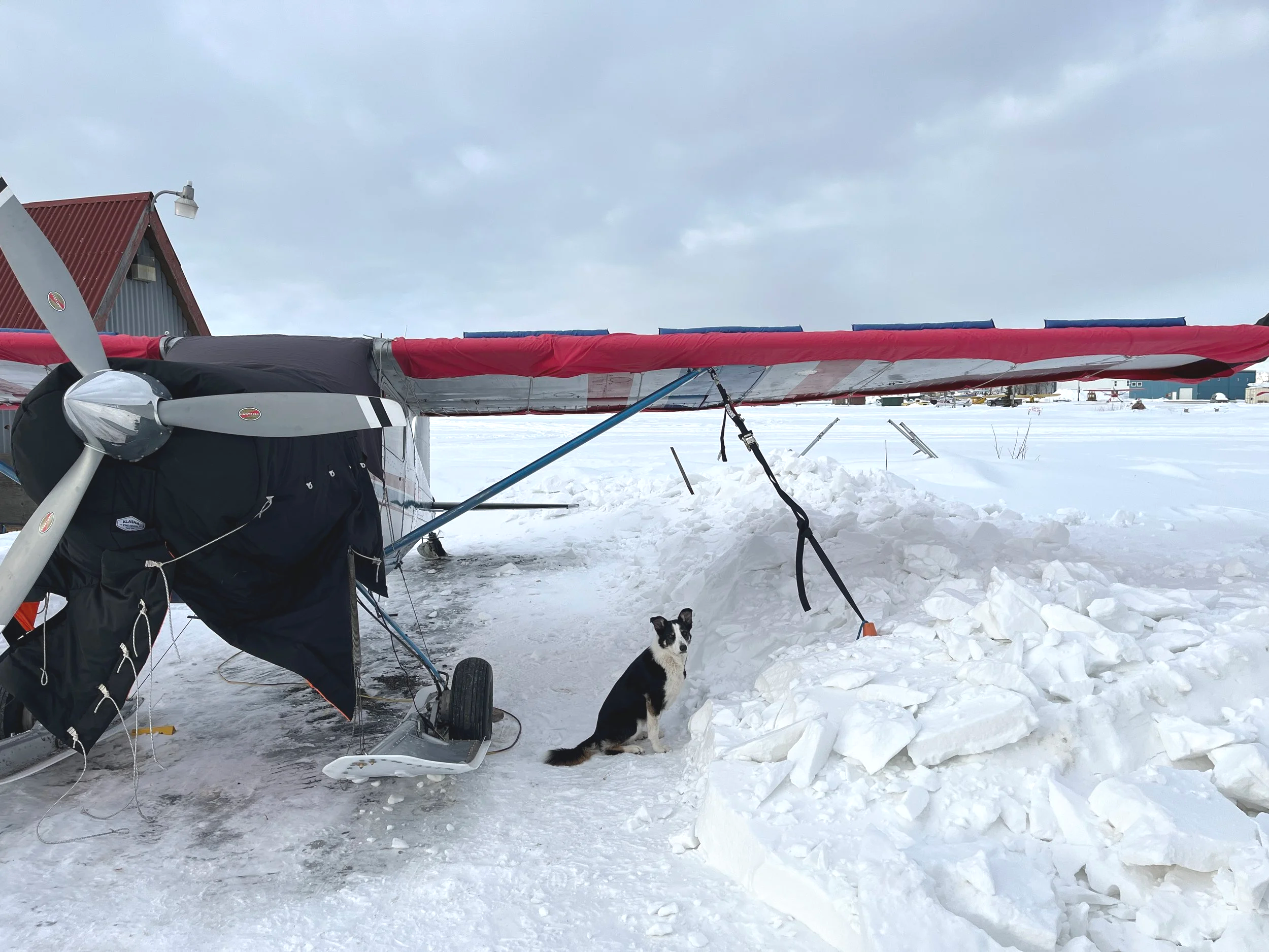 Cessna 180, Wing covers with spoilers, windshield and engine cover. Shop dog optional
