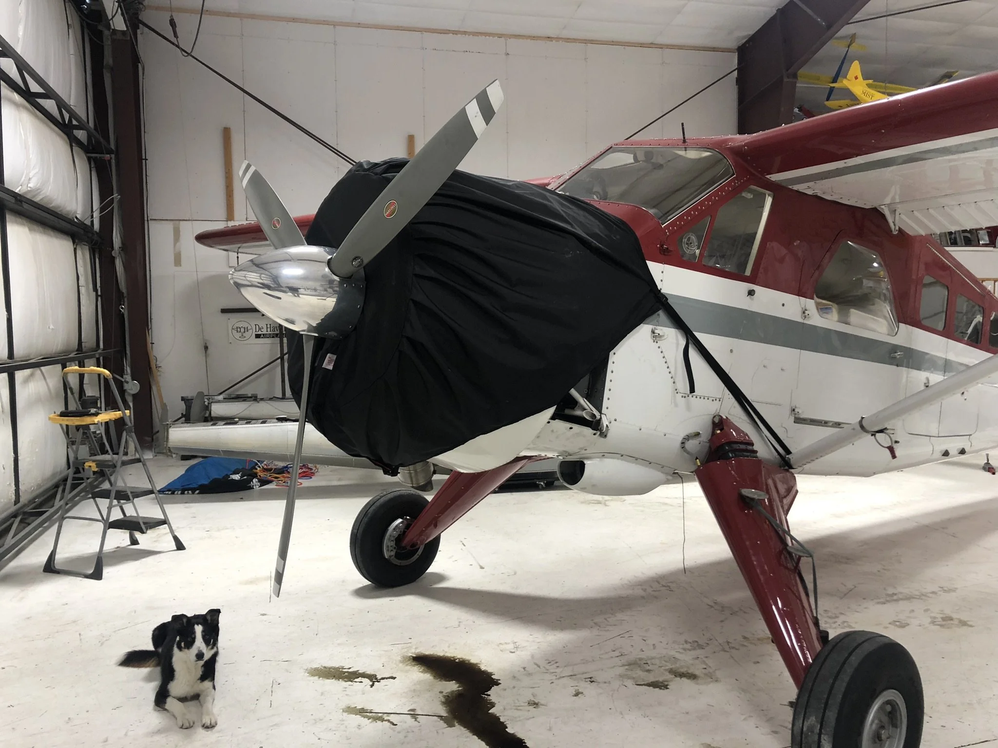 Non insulated engine cover for P&W, keeps the mags and P-leads dry.