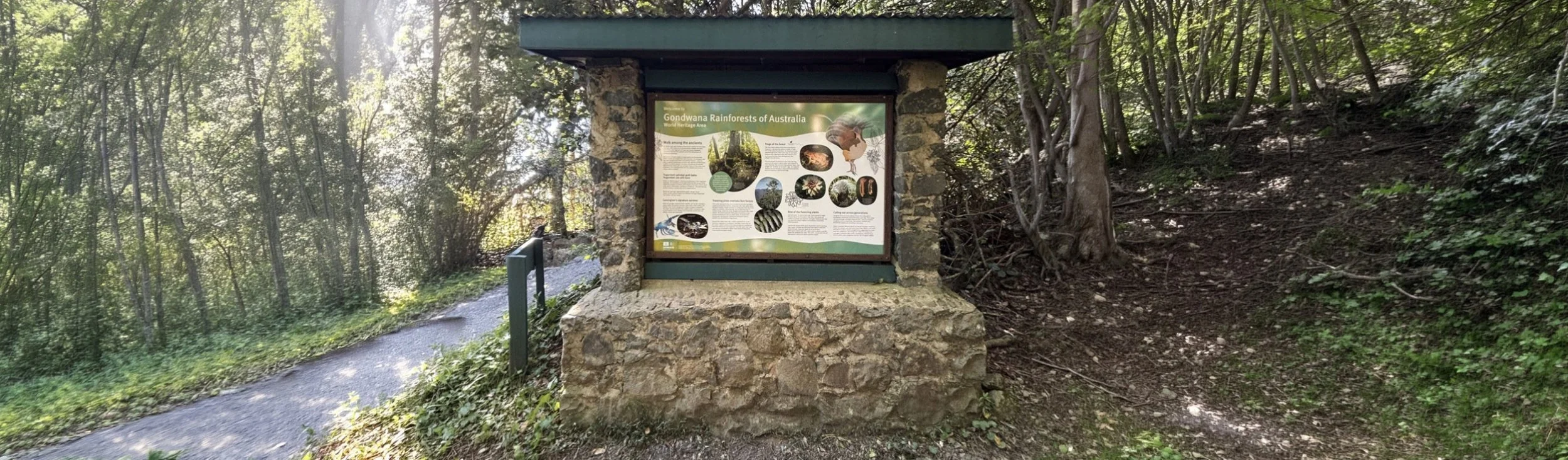 Interpretive signage about Gondwana Rainforests of Australia, mounted on a stone structure in a rainforest in Lamington National Park.