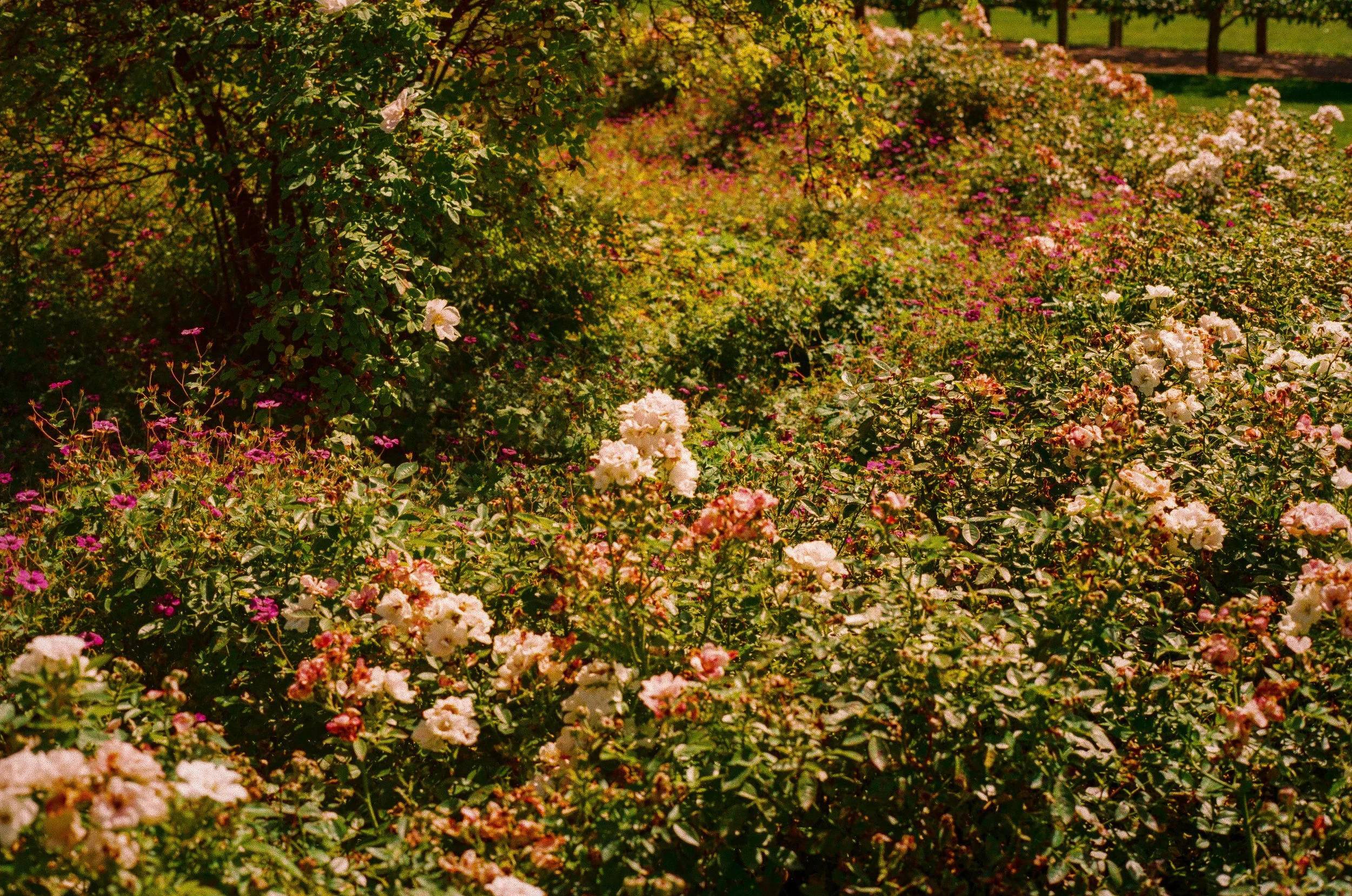000140900011_26.jpg