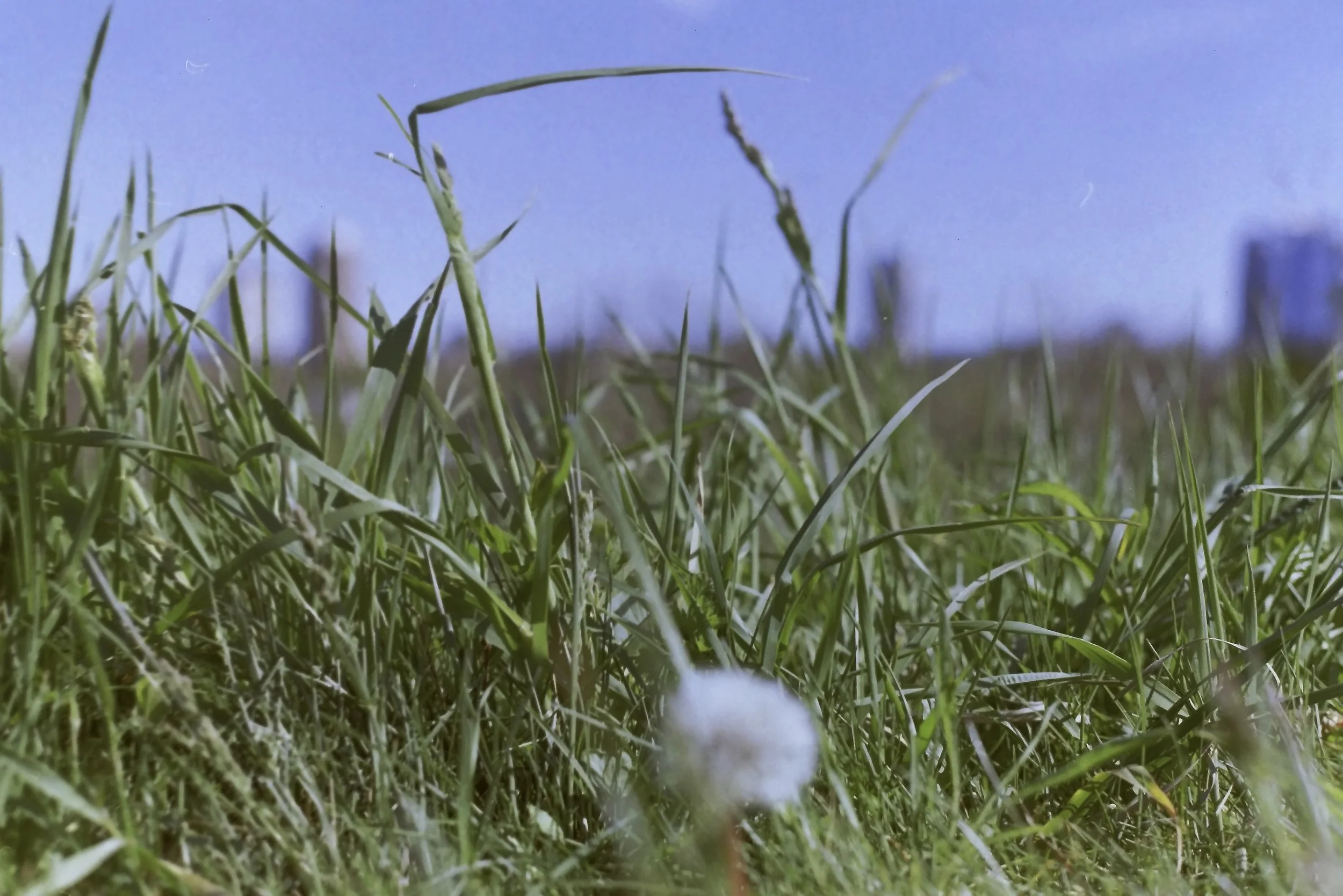 IMAG0016.JPG