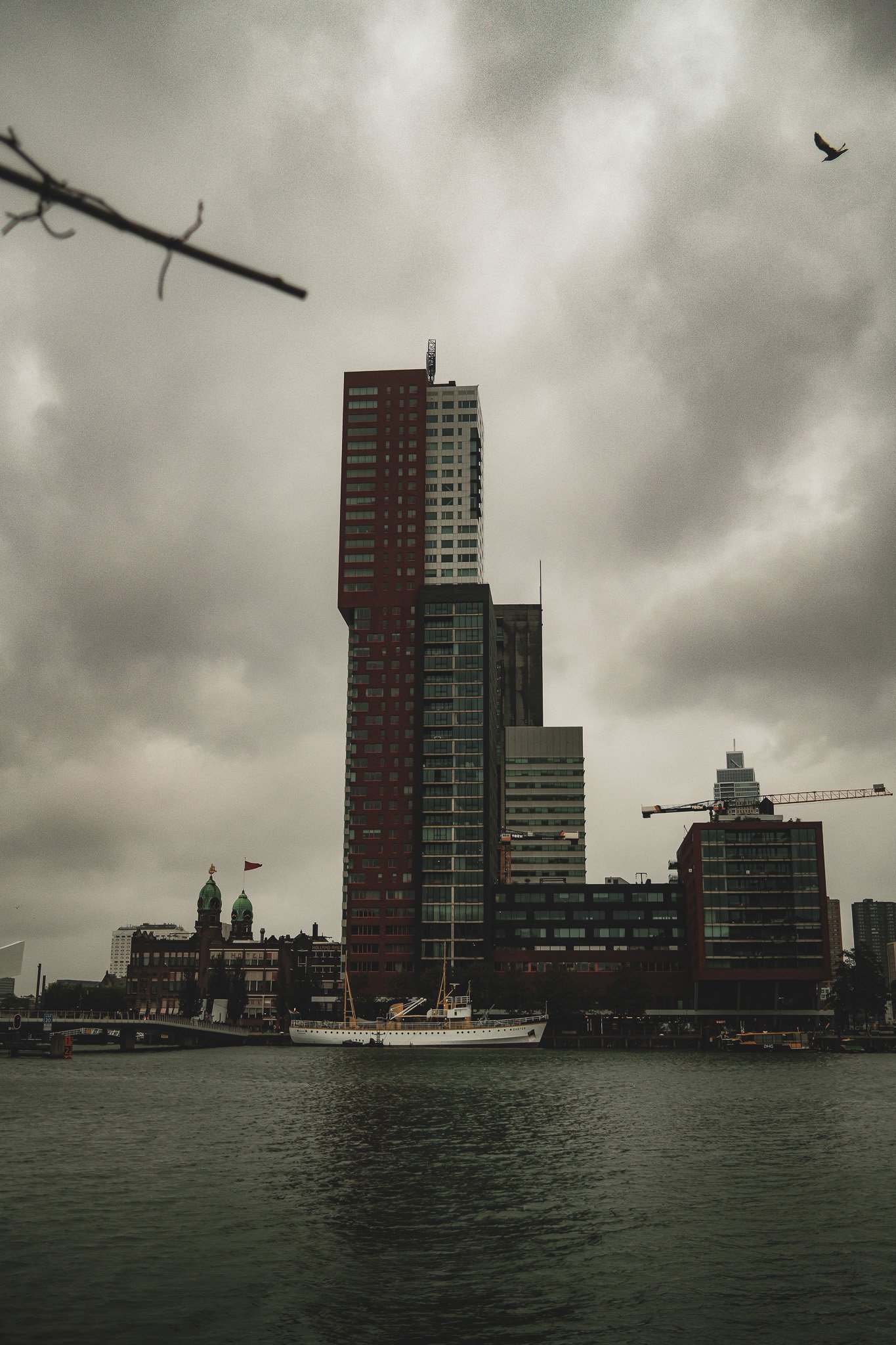 DSCF4789.jpg