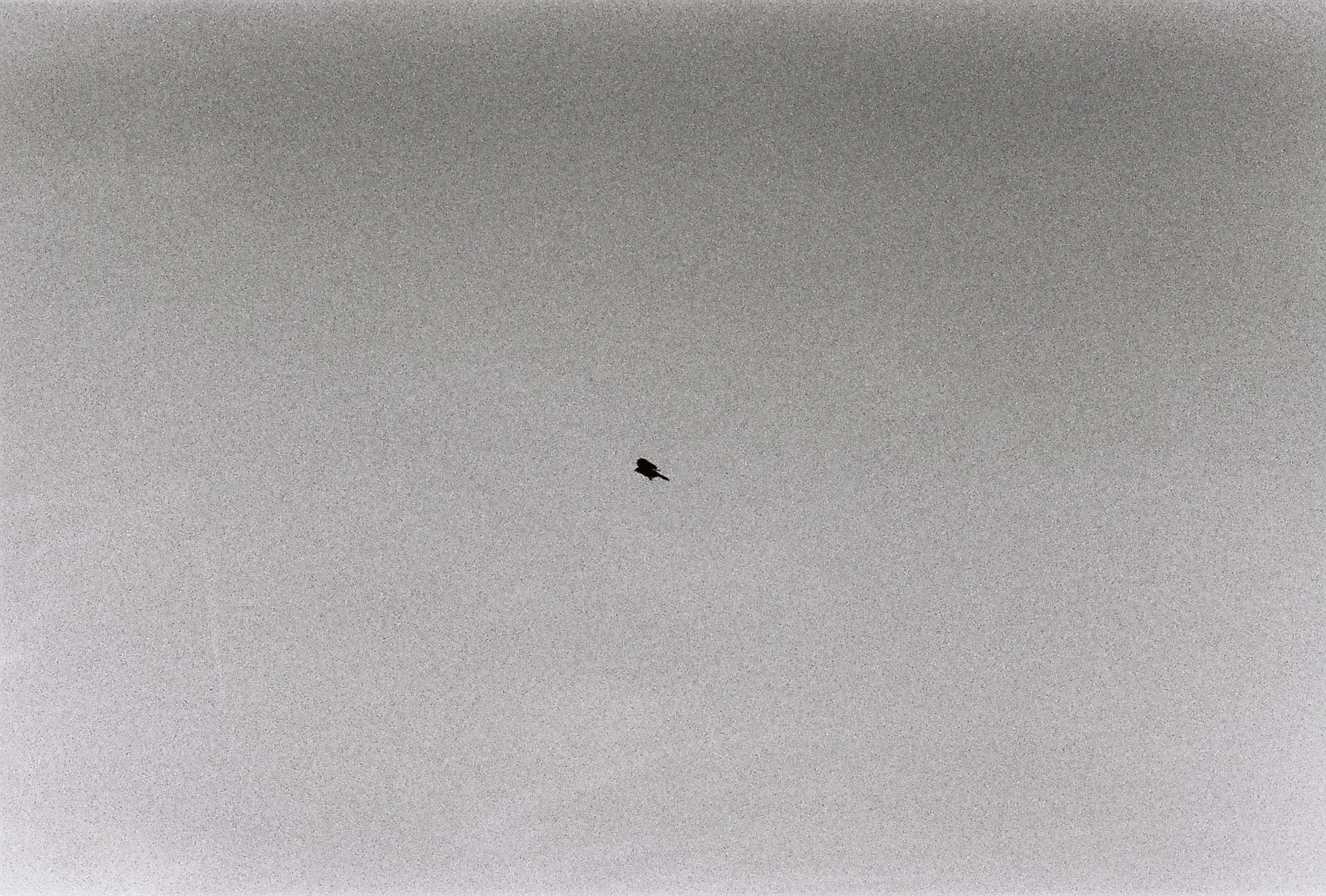 R1-08259-0018.JPG