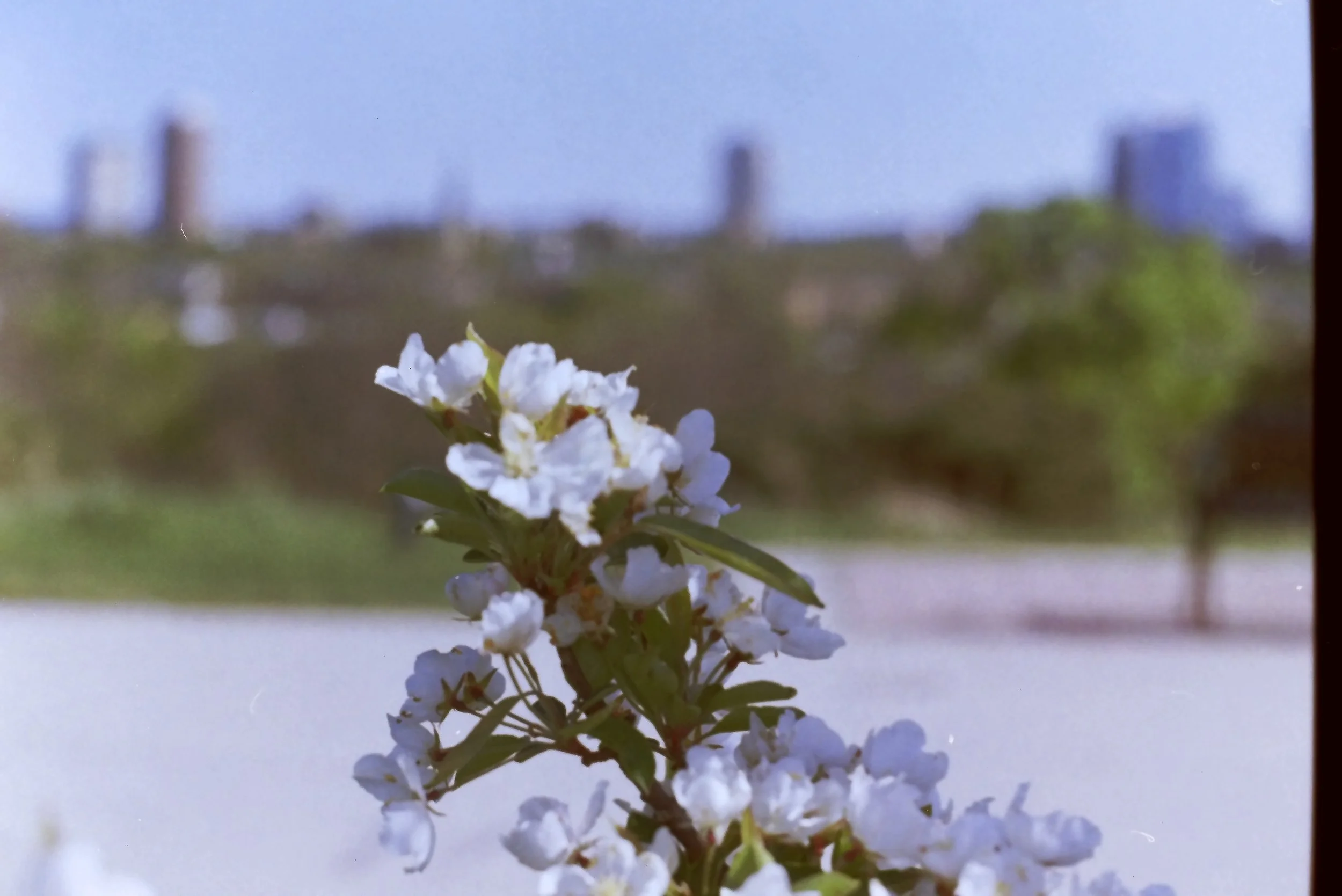 IMAG0011.JPG