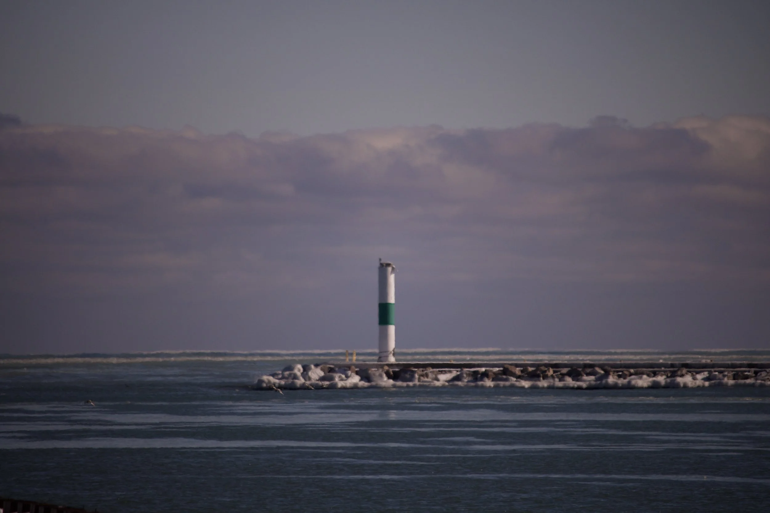 IMG_8238.jpeg